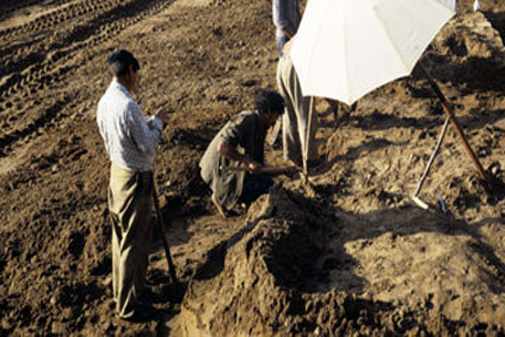Египетские археологи завершили раскопки гробницы Сети I