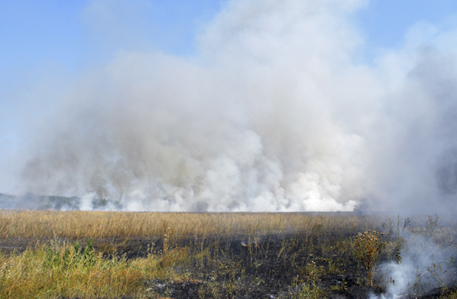 В Акмолинской области загорелась степь