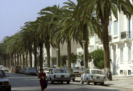Власти Туниса сократили комендантский час на 60 минут