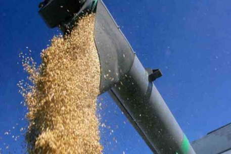 Власти Украины блокировали экспорт зерновых