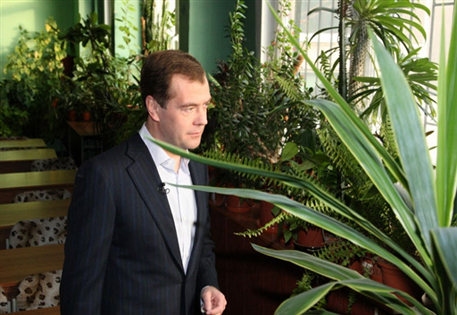 Медведев написал статью "О развитии зернового рынка"