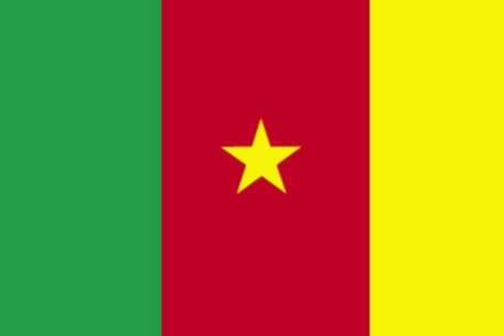 Самым опасным национальным доменом признали камерунский