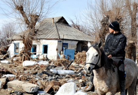 Жители Астаны отправили гуманитарный караван для села Кызыл-Агаш