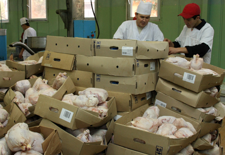 Международный скандал вокруг немецкого мяса не затронет Казахстан