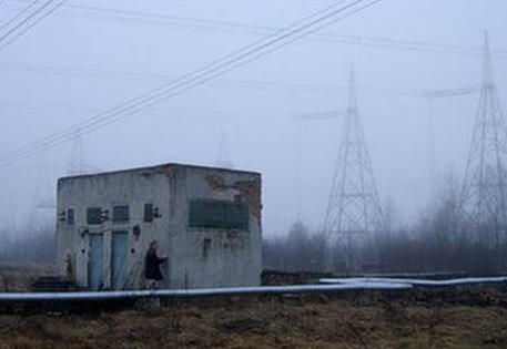 Чернобыльские птицы превращаются в мутантов