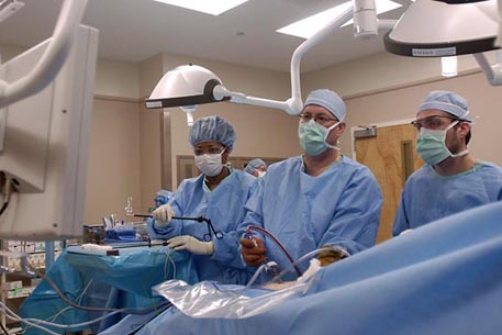 В Европе появится донорская сеть по трансплантации органов