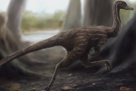 Китайские археологи нашли самого быстрого динозавра 
