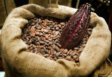 Запрет на экспорт какао-бобов из Кот-д'Ивуар спровоцирует рост цен на шоколад
