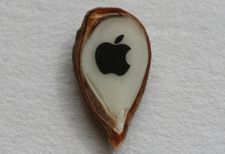 Омский миниатюрист уместил на яблочном зернышке логотип Apple