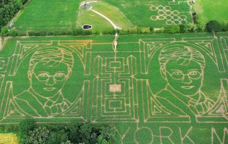 Британец создал портрет-лабиринт Гарри Поттера на кукурузном поле