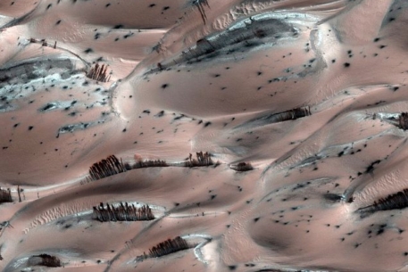 Специалисты NASA обнаружили на Марсе песчаные "деревья"