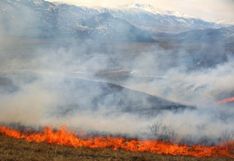 Казахстанские пожары вновь могут перекинуться на Алтайский край