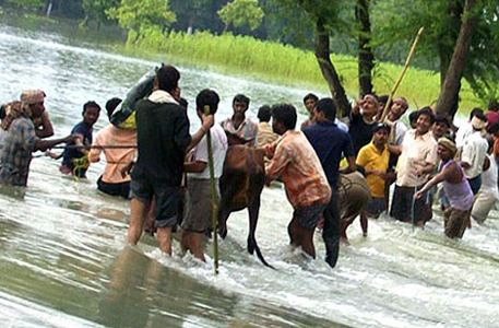 Дождь лишил крова миллион жителей Индии и Бангладеша