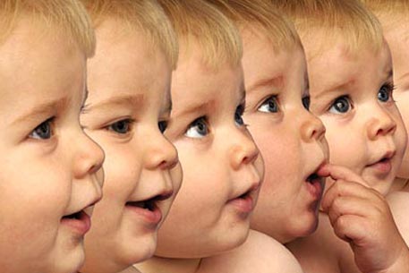 Россия продлила запрет на клонирование человека