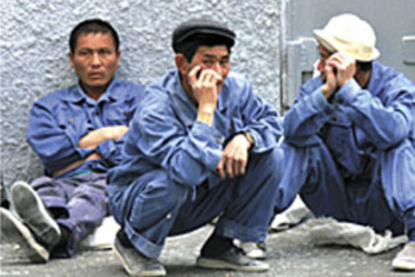 В Подмосковье милиция освободила из рабства 30 вьетнамцев