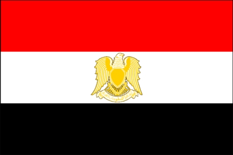 Египет оштрафовал российское судно за выброс нефти