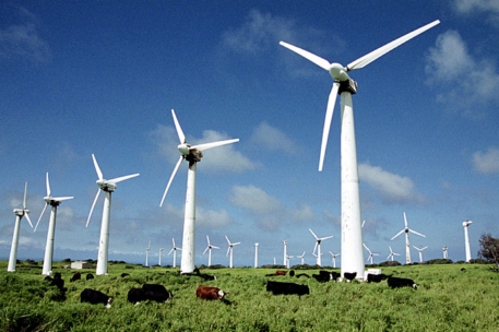 Китай вложит 14,6 миллиарда долларов в ветровую энергетику