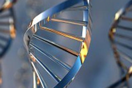 Ученые нашли ген зависимости