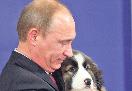 Россиян попросили придумать кличку щенку Путина