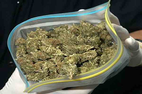 В Алматы у двух наркоторговцев изъяли 7,5 килограмм марихуаны