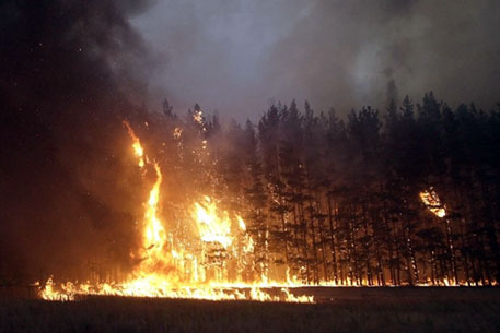 В Челябинской области загорелся нацпарк "Таганай"