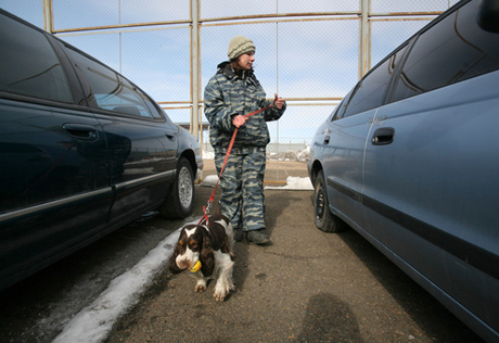 Охрана госдумы РФ усилена собаками