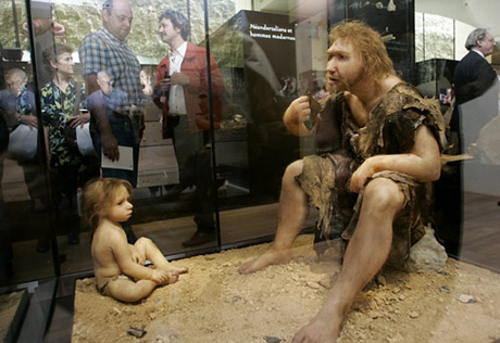 Неандертальцы ели не только мясо
