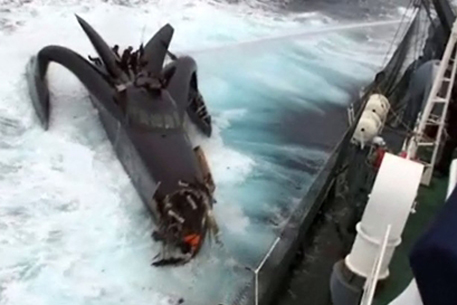 Экологи обвинили японское китобойное судно в нападении
