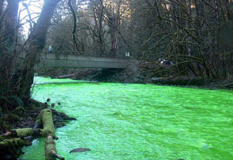 Шутники раскрасили реку в Канаде в зеленый цвет