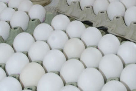 Мексику назвали лидером в потреблении яиц