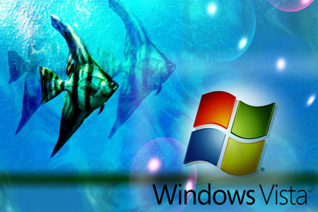 В Windows Vista и Windows Server 2008 обнаружили уязвимость