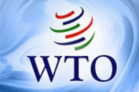 Грузия ставит палки в колеса РФ на пути к ВТО