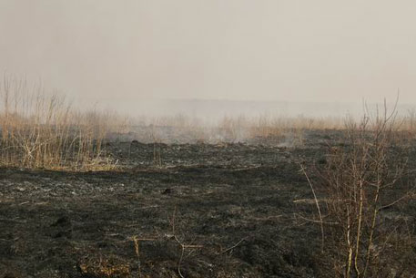 В Киевской области загорелись торфяники