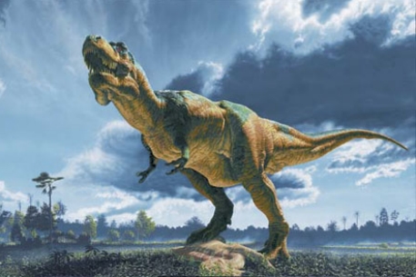 Австралийцы нашли южного родственника тираннозавра