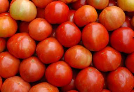 В Челябинской области задержали 18 тонн помидоров из Казахстана