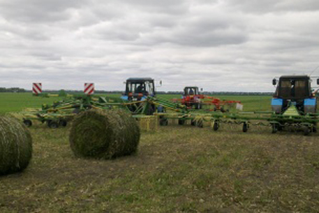 Казахстанским фермерам выдадут земли по упрощенной схеме