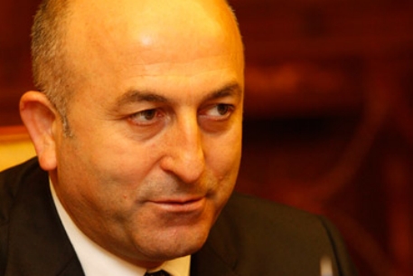 Главой ПАСЕ избрали представителя Турции 