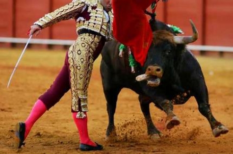 В Мексике матадора оштрафовали за бегство с арены от быка
