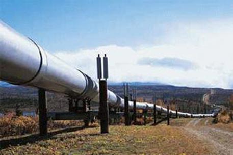 В России задержали укравшего 600 тонн нефти предпринимателя