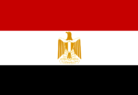 Высший совет вооруженных сил Египта распустил парламент