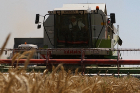 Минсельхоз Казахстана предложил увеличить экспорт зерна в Китай