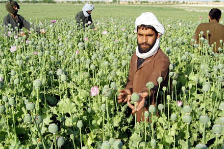 В Афганистане перехватили рекордную партию наркотиков