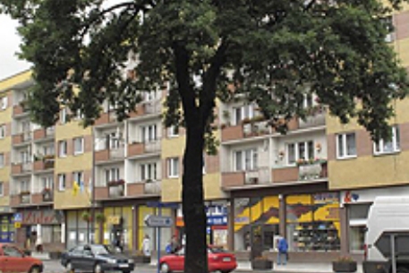 В Польше срубят дерево Гитлера