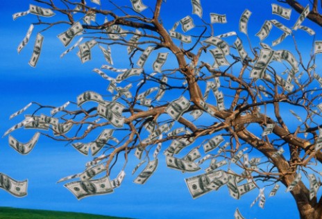 Возле антимонопольного агентства в Караганде посадили "денежное дерево"