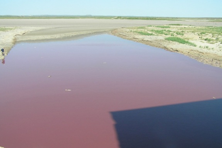 Окрасившееся в красный цвет озеро убедило американцев в скором апокалипсисе