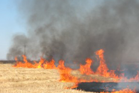 В Актюбинской области вблизи нефтепровода загорелась степь
