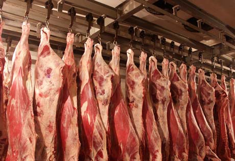 Казахстан предложил России закупать у него экологически чистое мясо