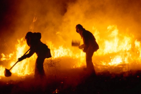 За год в Жамбылской области зарегистрировали 334 пожара 