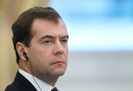 Медведев бесплатно выделит земли под дома многодетным семьям