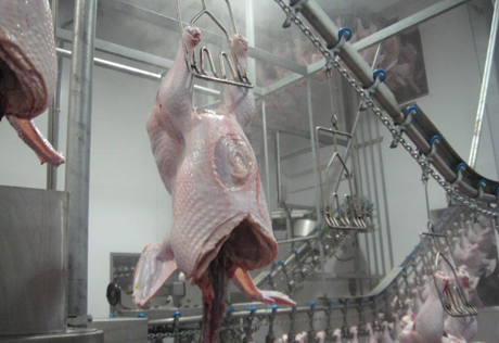 Москва не согласовала с Астаной запрет на продажу замороженного мяса птицы